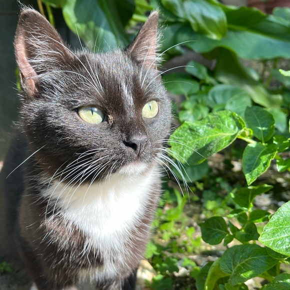 Meet your Posher, Nichole - Picture 1 of 7